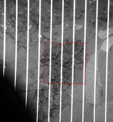 polykristalliner Wafer mit Fingerlinien